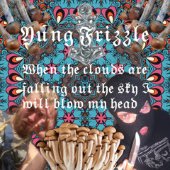 Yung Frizzle