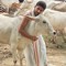 Anmol Mehrotra