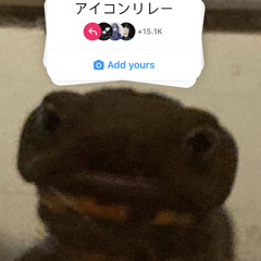 srryied