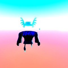 D43D P4RS0N