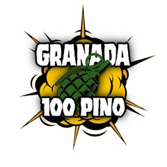 G100PINO💣