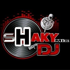 DjShakyMixT-2g