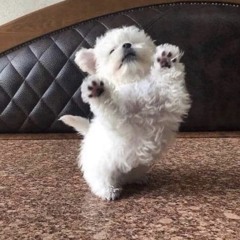 코슥밐킼