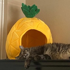 napes