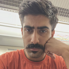 Mehdi amini