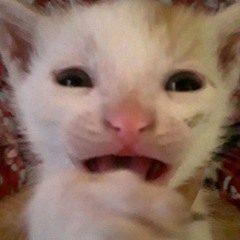 renny_benny