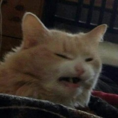 Botsbro
