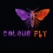 colour^fly