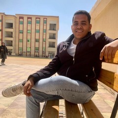 karam algarhy