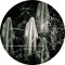 209 SINS