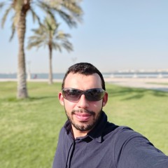 Mohamed Samy Sakr