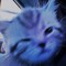 •° Blue kittyo (Melody's version°•