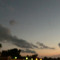 viccmenn