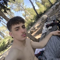 אברהם שטרית
