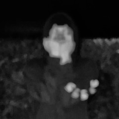 ROGUIE