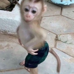 ritanq