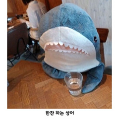 부릉부릉오방로켓