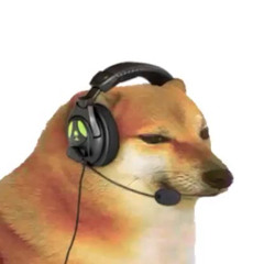 doge1234