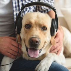 All Vibe MUSIC iS GOOD FOR ME❤️❤️❤️🎵🎵🎵🎵❤️❤️❤️