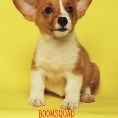BOOMSQUAD