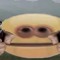 Sk