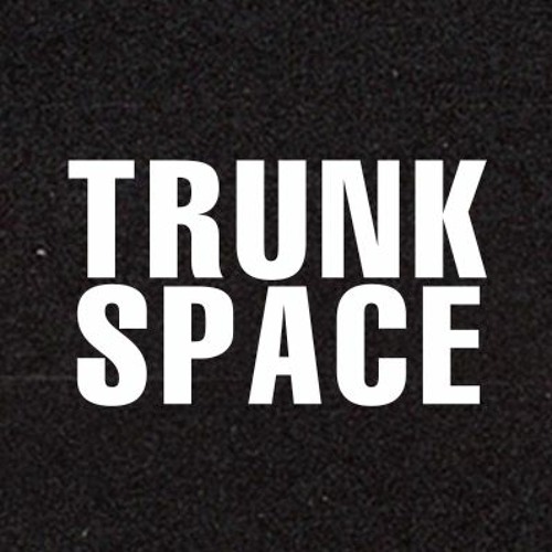 Trunk Space’s avatar