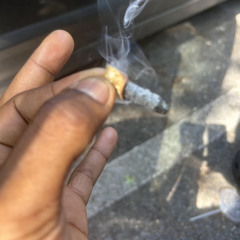 exoticwoods