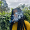 yungjamaica