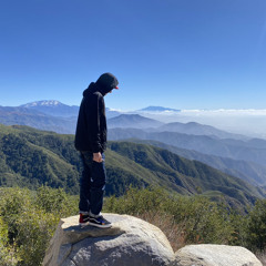 MisterBranch