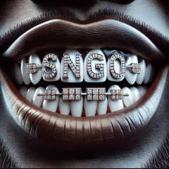 SNgo.ch