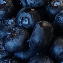 Da Blueberry 12