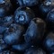 Da Blueberry 12