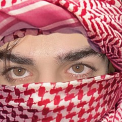⚜️میر شاہزین جمالی🚩