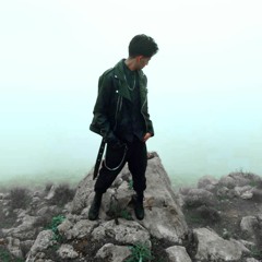 shaya.shahi