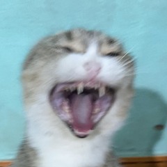Đào Diệu Linh