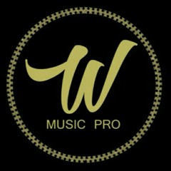 W Music Pro Entretainment
