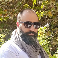 ali etemadi voice actor
