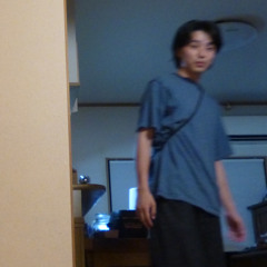 528491