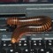 baneofmyriapods