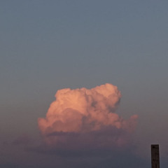 جزاع الصويلح