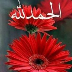 احمد محمود السويفي