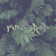 FUNDROP IDs 2022 (12)