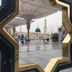 mostafa