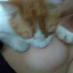Boris