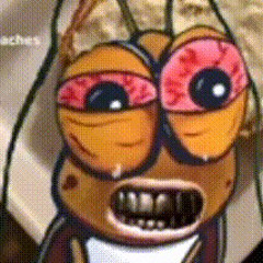 gavin the roach