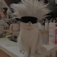 Bùi Luânn