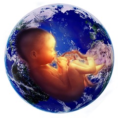 Beyond Being Human