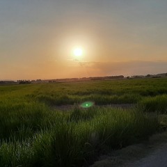 វិសាល អ្នកនិពន្ឋក្រៅខោ