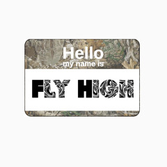 Fly High