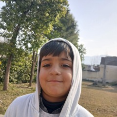 Rokhaan